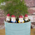Mini Garden Gnomes