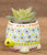 Natural Life Turtle Faux Succulent Natural Life Turtle Faux Succulent
