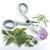 Little Kitchen Scissors Little Kitchen Scissors