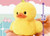 Duckling Small Plush 