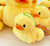Duckling Small Plush 
