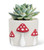 Medium Dotted Mushroom Planter Medium Dotted Mushroom Planter
