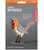 Robin 3D Puzzle