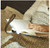Rechargeable Clip Book Light