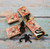 Scary Insect Surprise Matchbox 