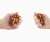 Mini Gingerbread Man Squishy