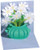 Daisy Bouquet Gift Enclosure