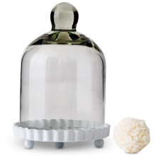 Small Glass Bell Jar With White Base - Little Obsessed
