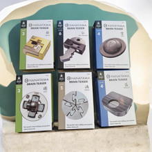Hanayama Metal Brain Teaser Puzzle - Little Obsessed