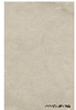 SPC Wall Panel