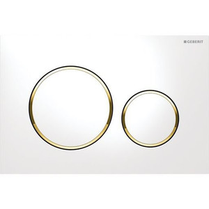Sigma20 White with Gold Trim ABS Dual Flush/Access Plate(Round Button)