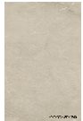 SPC Wall Panel