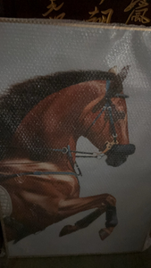 Horse Oil Painting