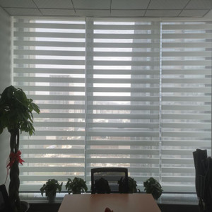 Indoor Motorized Double Layer Zebra Roller Blinds