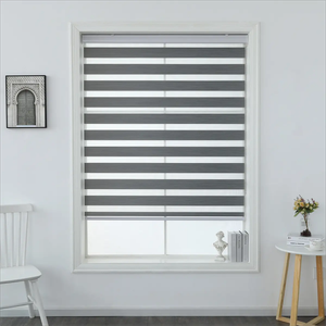 Double Layer Blackout Day and Night Zebra Roller Blinds