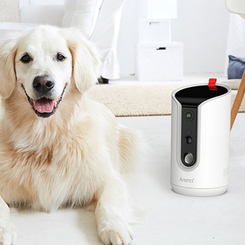pet feeder