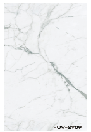 SPC Wall Panel