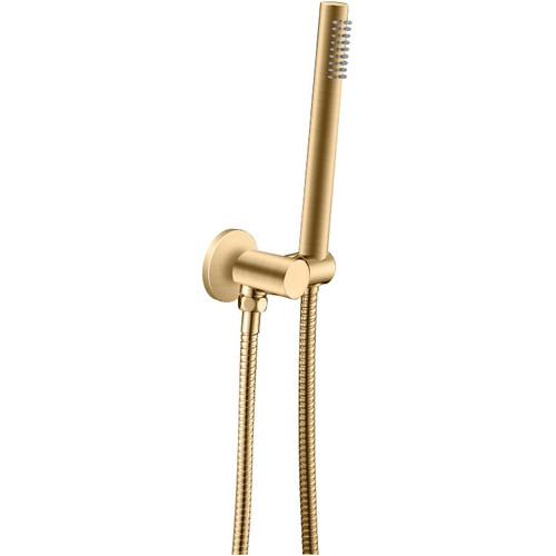 Brushed Brass Shower Rail with Handheld Shower