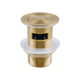Brushed Brass Pop Up Waste Overflow