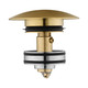 Light Brushed Brass Pop Up Waste Universal