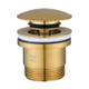 Brushed Brass Pop Up Waste Universal