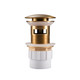 Brushed Brass Pop Up Waste Overflow