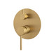 LUCID PIN Series Brushed Brass Diverter Mixer Trim Kit (match CLPD)