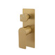VOG Series Brushed Brass Diverter Mixer Trim Kit (match CLPD)