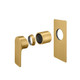 VOG Series Brushed Brass Wall Mixer Trim Kit (match CLPM)