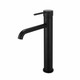 LUCID PIN - Black Basin Mixer