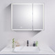 900x720x139mm LED Shaving Cabinet