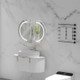 900*600*150mm Carysil Mystic Matte White Melamine Plywood Oval LED Shaving Cabinet(Double Doors)