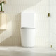 RIVO 620*385*835mm Gloss White Quiet Flushing Back to Wall Toilet Suite