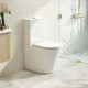 RIVO 620*385*835mm Gloss White Quiet Flushing Back to Wall Toilet Suite