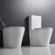 VERA 670*360*850mm Gloss White Tornado Flushing Back to Wall Two-piece Toilet Suite
