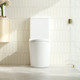 FIFA 670*390*860mm Gloss White Quiet Flushing Back to Wall Toilet Suite
