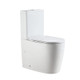 WALTON 650*370*850mm Gloss White Quiet Flushing Back to Wall Two-piece Toilet Suite