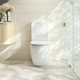 DIANA 630*390*840mm Gloss White Quiet Flushing Back to Wall Toilet Suite