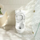 DIANA 630*390*840mm Gloss White Quiet Flushing Back to Wall Toilet Suite