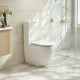 DIANA 630*390*840mm Gloss White Quiet Flushing Back to Wall Toilet Suite