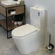 PANI 670*360*850mm Gloss White Rimless Flushing Back to Wall Two-piece Toilet Suite