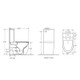 HANI 665*360*845mm Gloss White Rimless Flushing Back to Wall Two-piece Toilet Suite