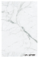 SPC Wall Panel
