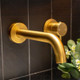 LUCID PIN - Brushed Brass Spout Mixer