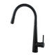 Black Pull Out Kitchen Mixer
