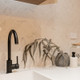 Black Standard Kitchen Mixer