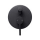 LUCID PIN - Black Diverter Mixer
