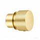 Progressive Light Brushed Brass Handle