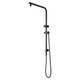 Black Shower Rail