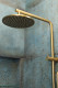 10" Brushed Brass Shower Station